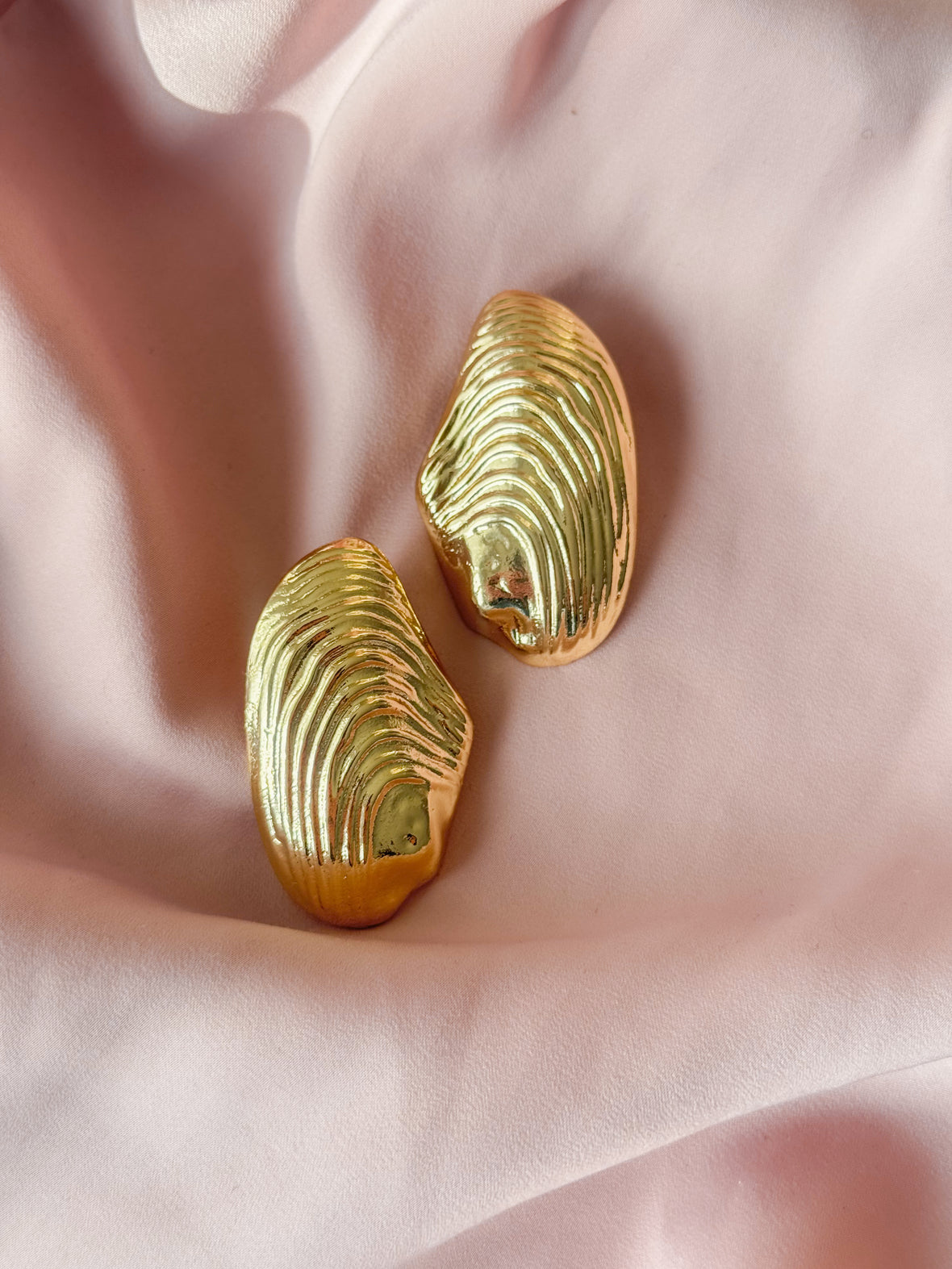 Boucles d'Oreilles Naturelle