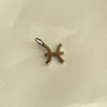 choosemi charms Poisson / Argenté Charms astrologie