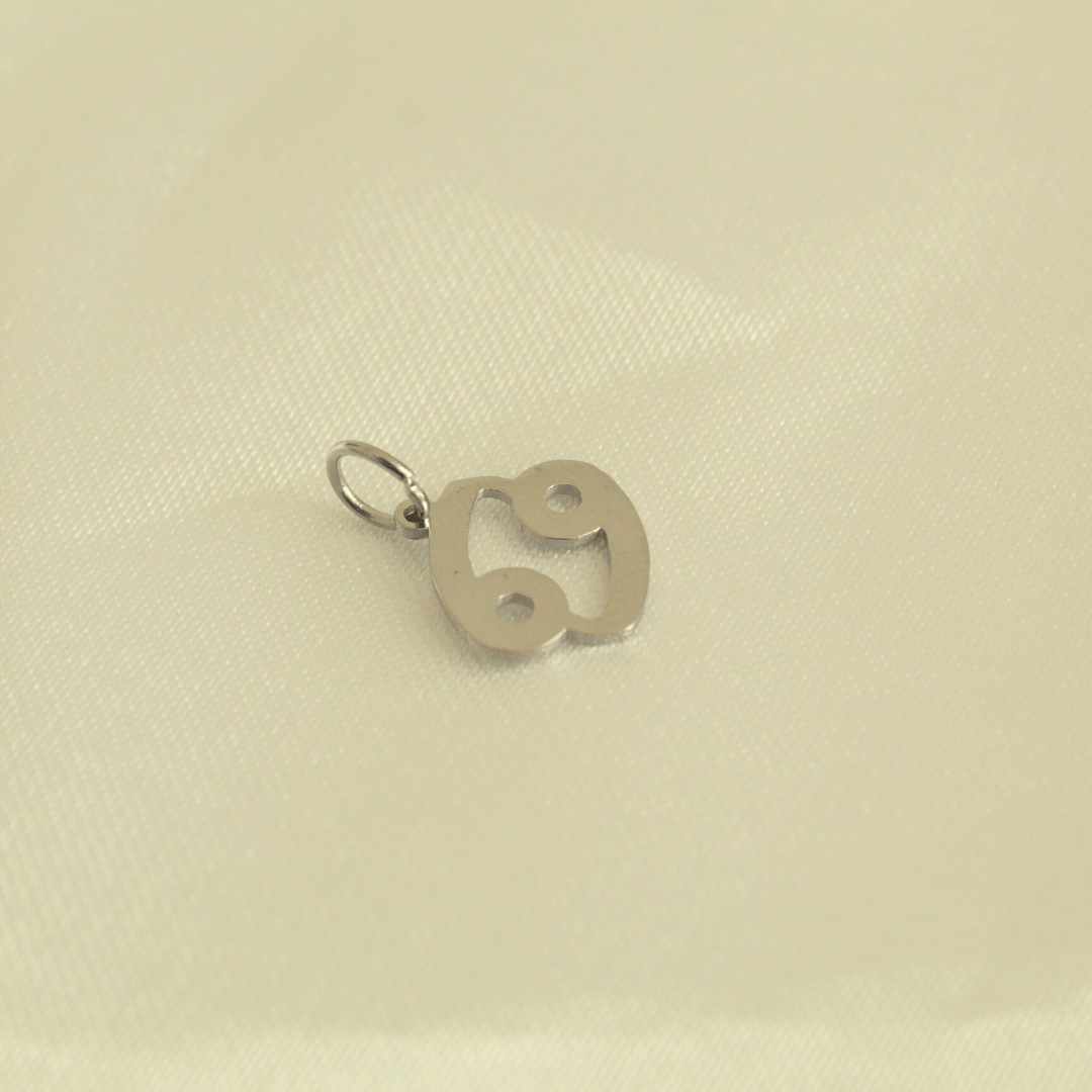 choosemi charms Cancer / Argenté Charms astrologie