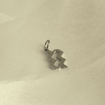 choosemi charms Verseau / Argenté Charms astrologie