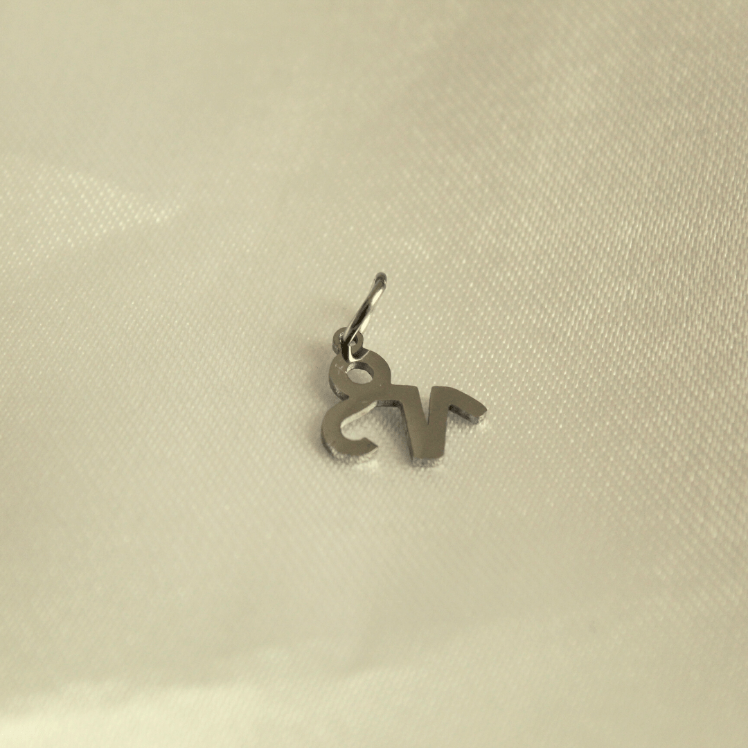 choosemi charms Capricorne / Argenté Charms astrologie