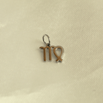 choosemi charms Vierge / Argenté Charms astrologie