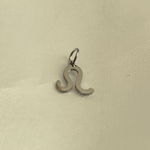 choosemi charms Lion / Argenté Charms astrologie
