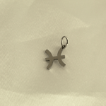 choosemi charms Charms astrologie